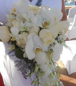 same sex marriage celebrant brisbane